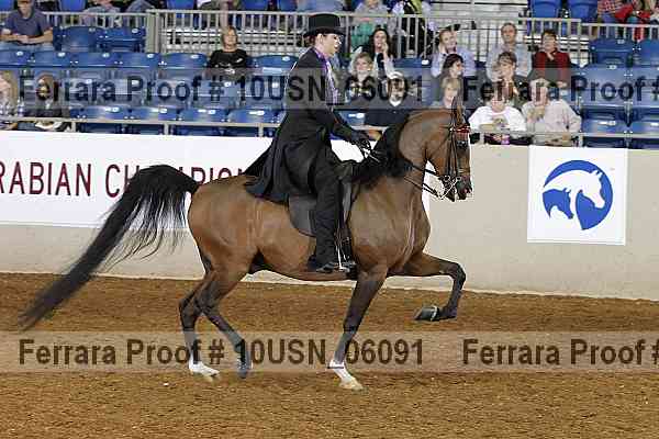 Proof 10usn_06091