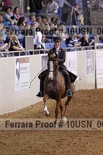 Proof 10usn_06100