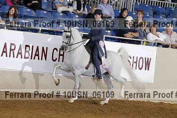 Proof 10usn_06109