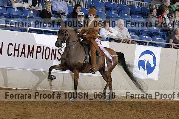 Proof 10usn_06110