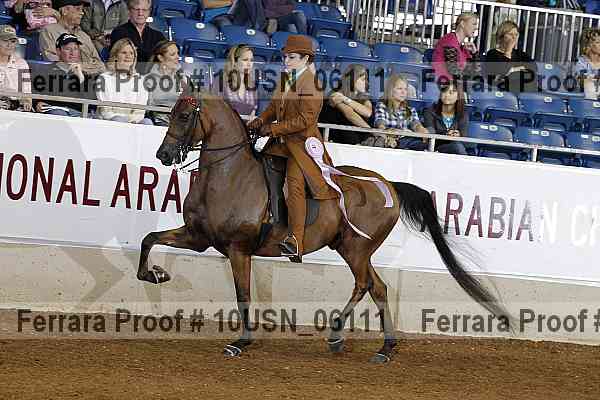 Proof 10usn_06111