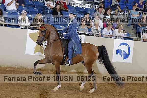 Proof 10usn_06125