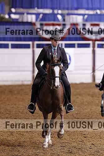 Proof 10usn_06131