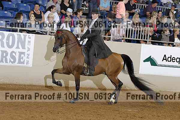 Proof 10usn_06133