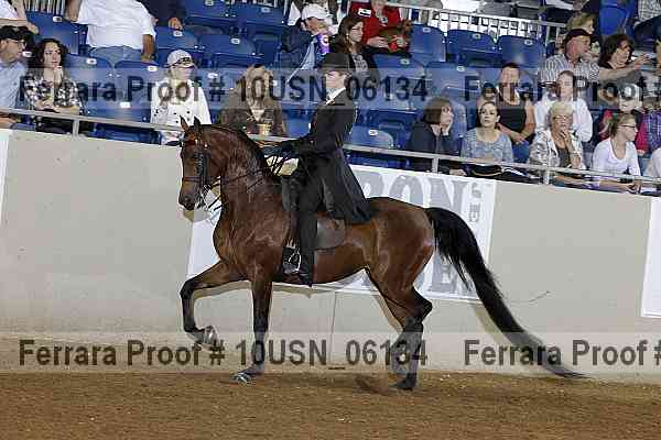 Proof 10usn_06134