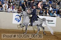 10usn_06136 proof