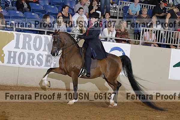 Proof 10usn_06137