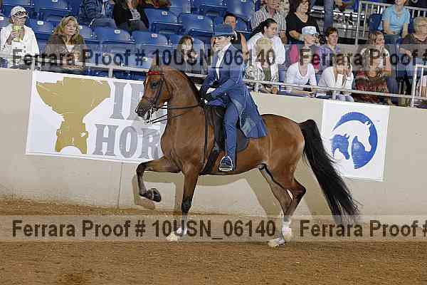 Proof 10usn_06140