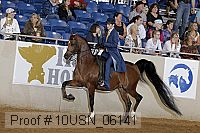 10usn_06141 proof