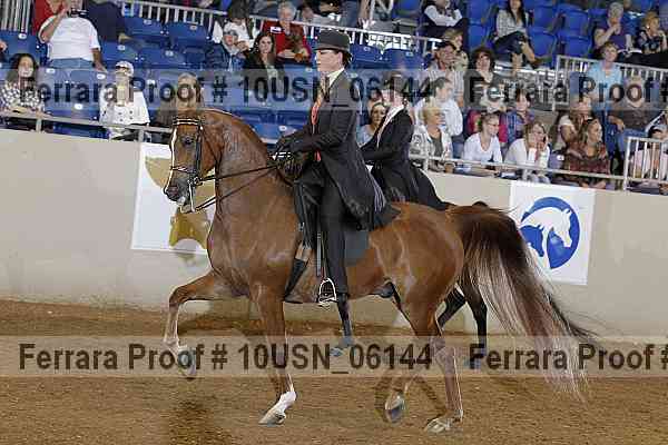Proof 10usn_06144