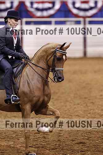 Proof 10usn_04348