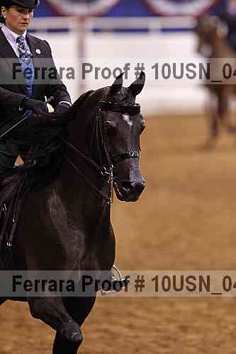 Proof 10usn_04356