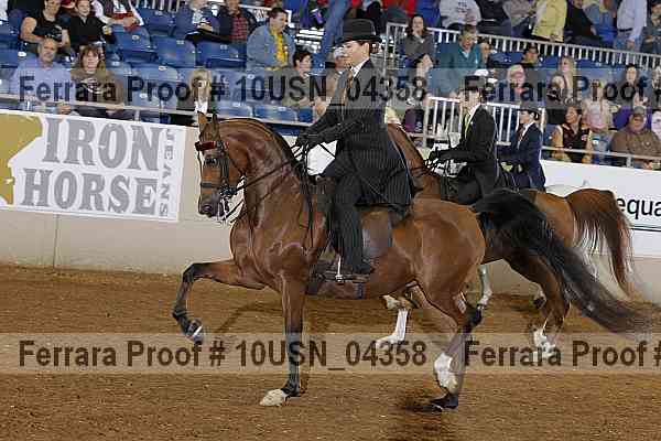 Proof 10usn_04358