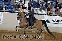 10usn_04366 proof
