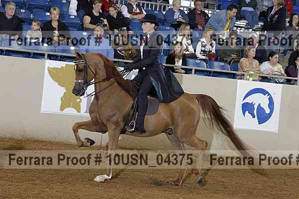 Proof 10usn_04375