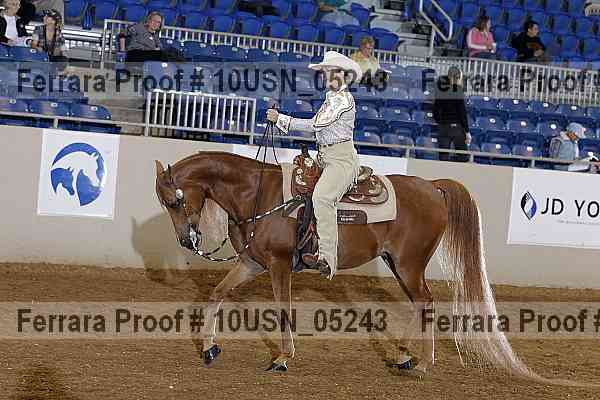 Proof 10usn_05243