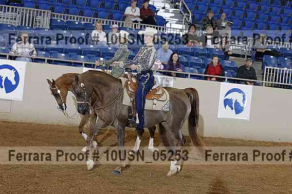 Proof 10usn_05253