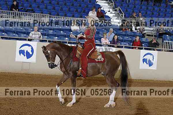 Proof 10usn_05256