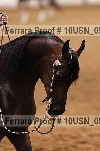 Proof 10usn_05261