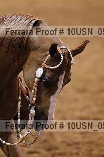 Proof 10usn_05265