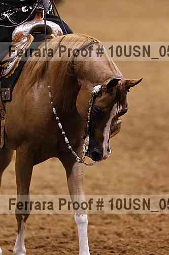 Proof 10usn_05271