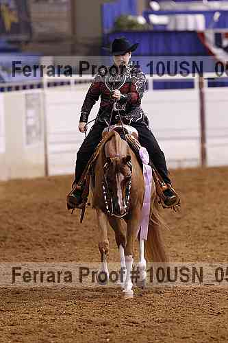 Proof 10usn_05294
