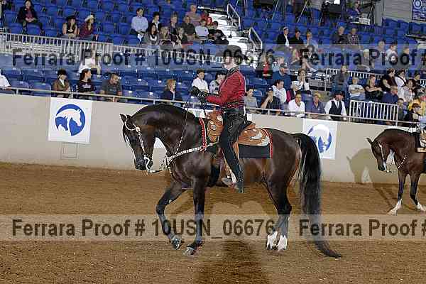 Proof 10usn_06676