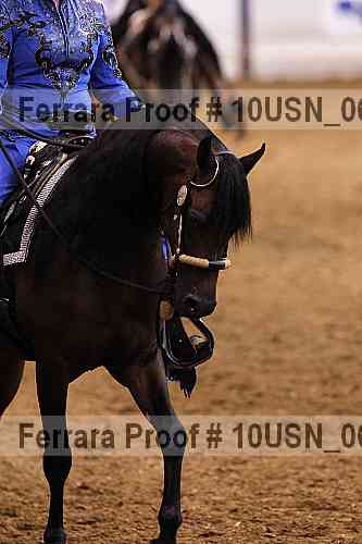 Proof 10usn_06677