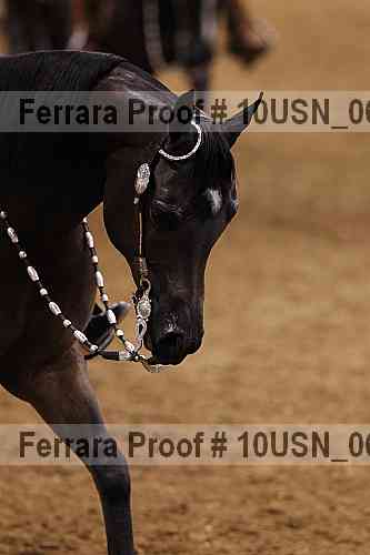 Proof 10usn_06687