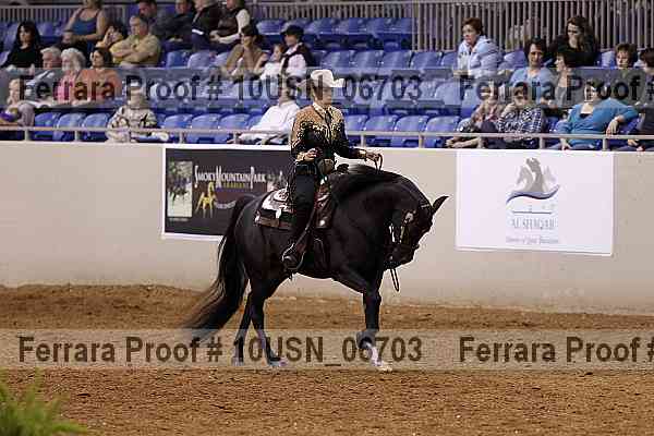 Proof 10usn_06703