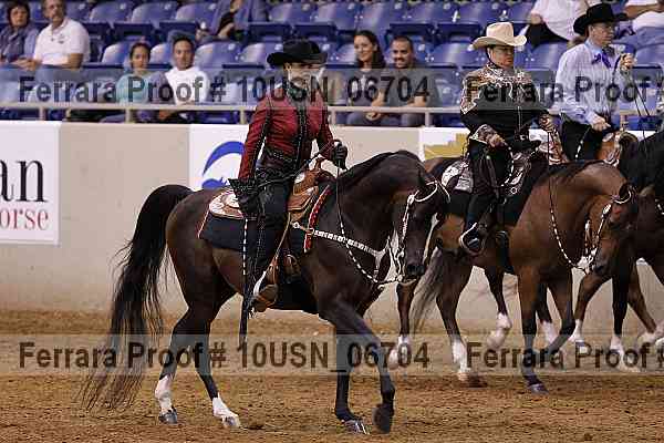Proof 10usn_06704