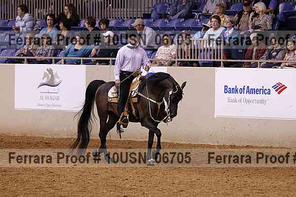 Proof 10usn_06705