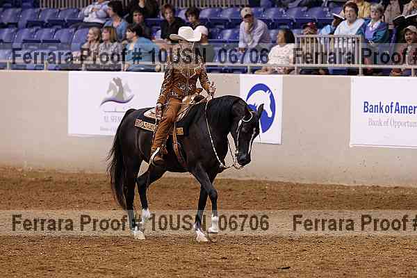 Proof 10usn_06706