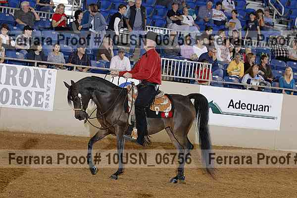 Proof 10usn_06756