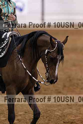 Proof 10usn_06762