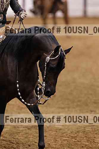 Proof 10usn_06777