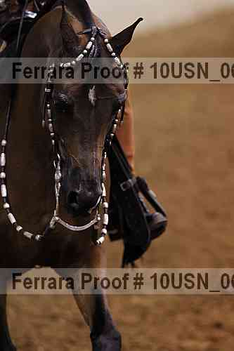 Proof 10usn_06789
