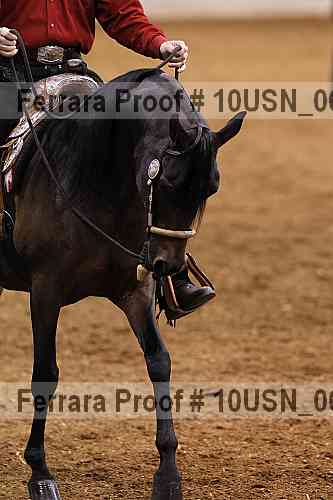 Proof 10usn_06793