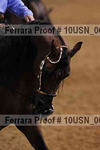 Proof 10usn_06795