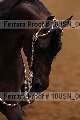 Proof 10usn_06806