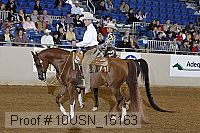 10usn_15163 proof