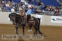 10usn_15167 proof