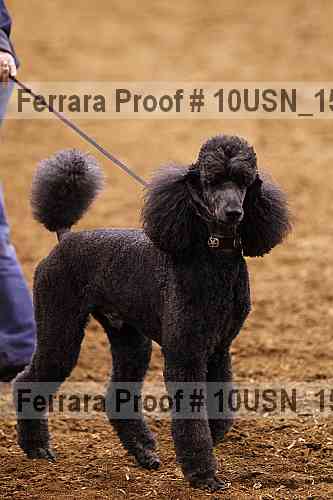 Proof 10usn_15216