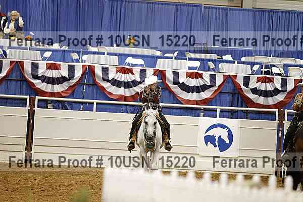 Proof 10usn_15220