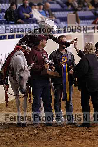 Proof 10usn_15239