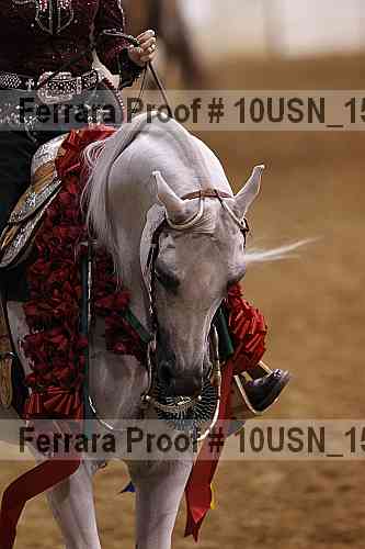 Proof 10usn_15251