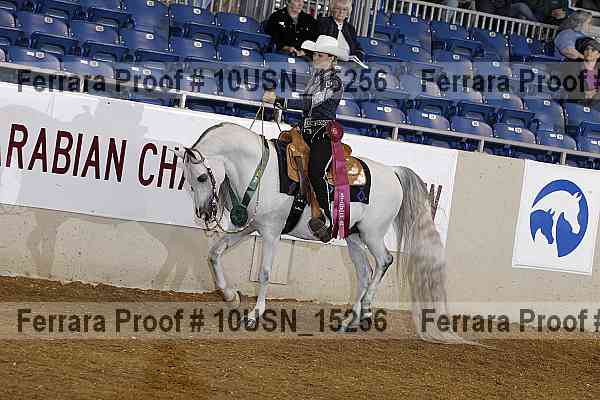 Proof 10usn_15256
