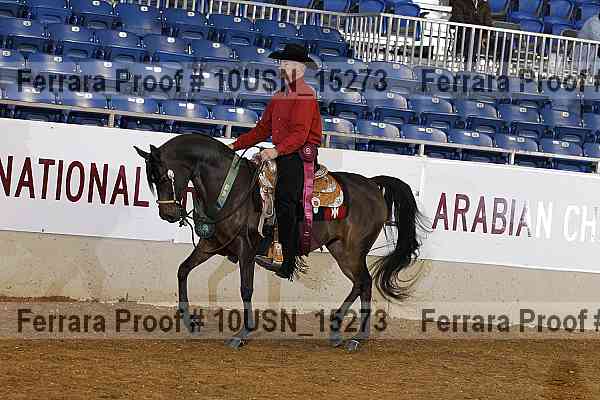 Proof 10usn_15273