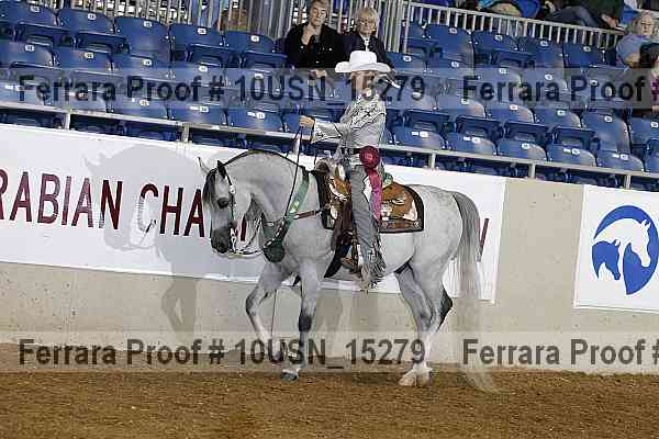 Proof 10usn_15279