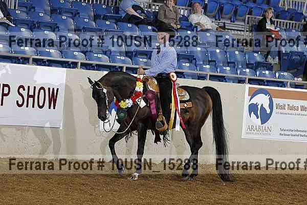Proof 10usn_15288